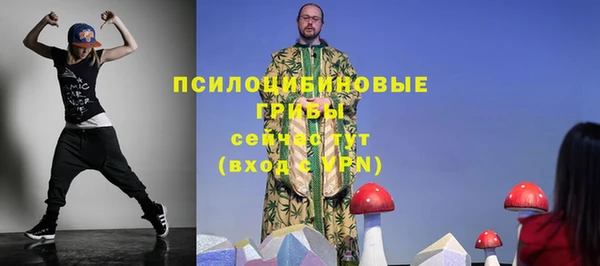 герыч Верхний Тагил