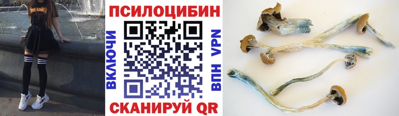 купить наркоту  Карабулак  Псилоцибиновые грибы GOLDEN TEACHER 
